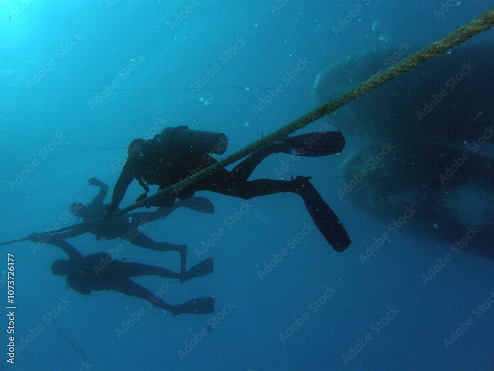 custom made wallpaper toronto digitalSport diving is a group of underwater sports disciplines. This is a fairly young direction of underwater sports, but sport diving disciplines are officially recognized in the world