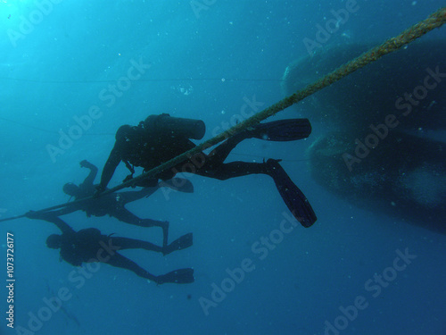 Wallpaper Mural Sport diving is a group of underwater sports disciplines. This is a fairly young direction of underwater sports, but sport diving disciplines are officially recognized in the world Torontodigital.ca
