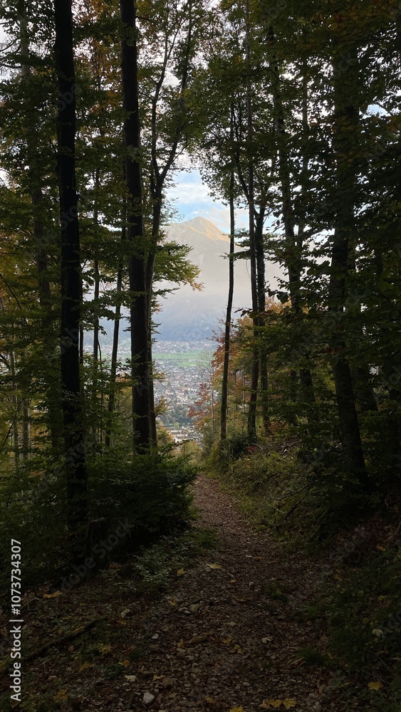 Fototapeta premium Hiking Switzerland Interlaken Harder Kulm