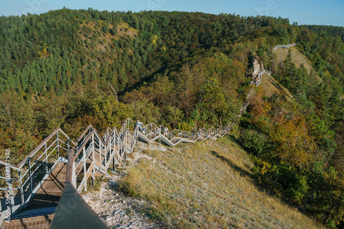 Stairs in the forest in the mountains. Beautiful natural landscape of Russia near the Volga River. Strelnaya Mountain. Attraction of the Samara region. Samara, Russia - 9 Aug 2024