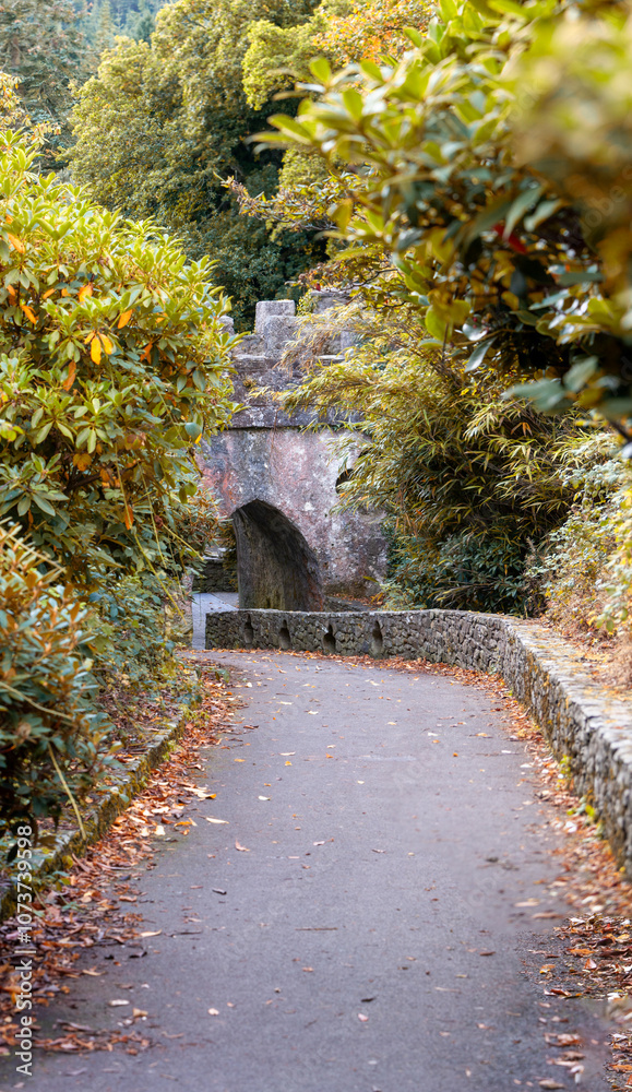 Naklejka premium Alley in the park. Autumn landscape..