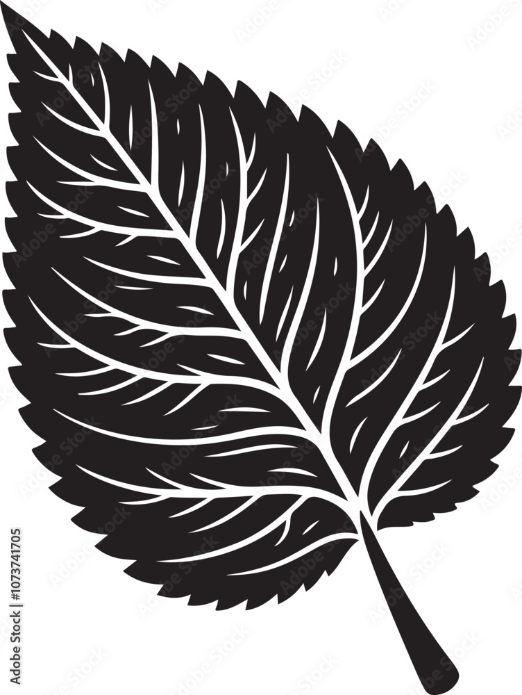 Obraz premium Leaf Vector