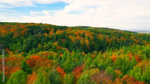 Blue Ridge Mountains, Georgia Drone flyover of mountain forest of trees changing colors in Chattahoochee-Oconee National Forest. photo