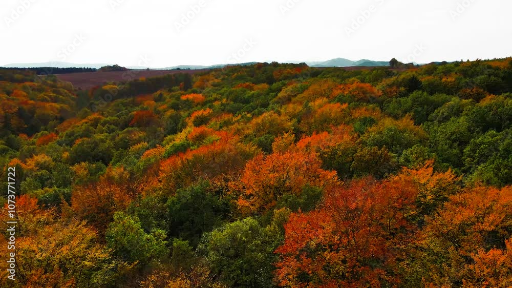 Blue Ridge Mountains, Georgia Drone flyover of mountain forest of trees changing colors in Chattahoochee-Oconee National Forest. Blue Ridge Mountains, Georgia Drone flyover of mountain forest of trees changing colors in Chattahoochee-Oconee National Forest.