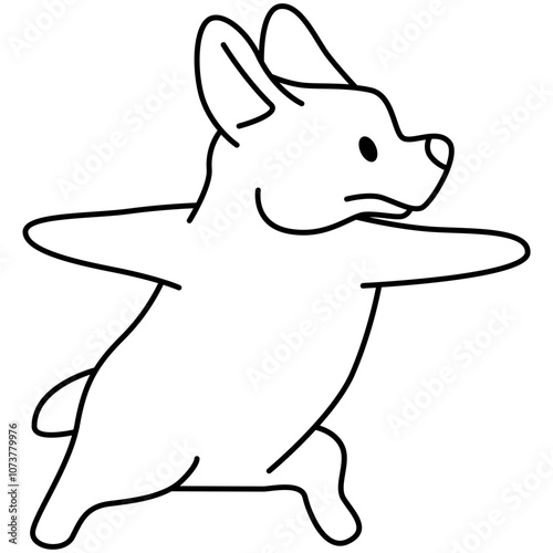 Corgi puppy yoga pose