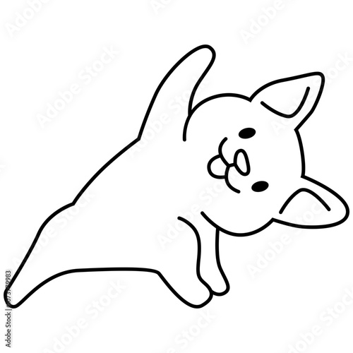 Corgi puppy yoga pose