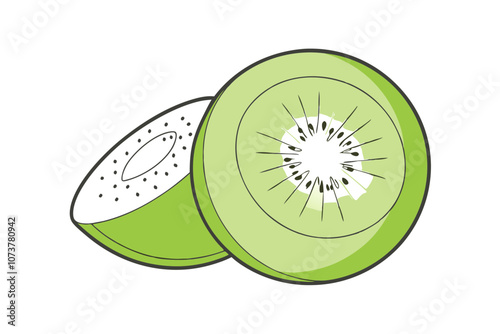 Kiwi Fruit Vector Illustration with Slice – Color Line Drawing