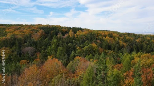 Blue Ridge Mountains, Georgia Drone flyover of mountain forest of trees changing colors in Chattahoochee-Oconee National Forest. photo