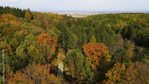 Blue Ridge Mountains, Georgia Drone flyover of mountain forest of trees changing colors in Chattahoochee-Oconee National Forest. photo