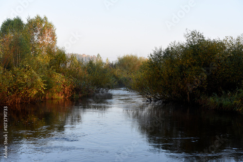 Autumn landscape of a blue lake and yellowing trees. Yellow-green trees by the river in the morning.