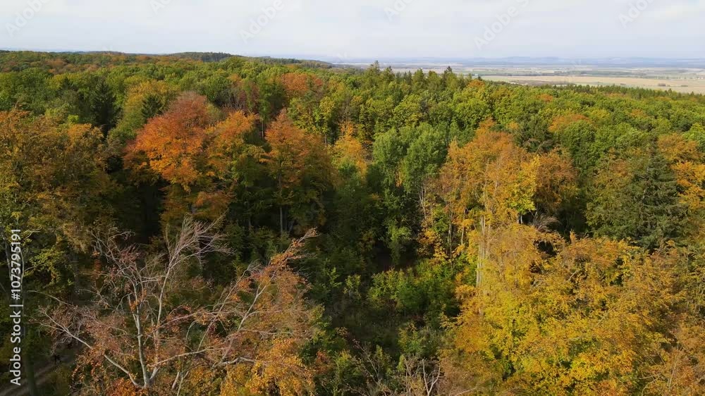 Blue Ridge Mountains, Georgia Drone flyover of mountain forest of trees changing colors in Chattahoochee-Oconee National Forest. Blue Ridge Mountains, Georgia Drone flyover of mountain forest of trees changing colors in Chattahoochee-Oconee National Forest.