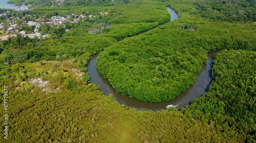 Magnificent scenery over the boat cruising along the river with mangroves surrounding. Beautiful mangrove forest in Belitung Indoensia. tropical paradise. green nature background. 4K Drone photo