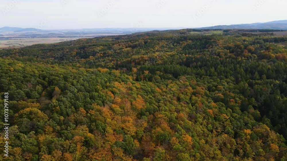 Blue Ridge Mountains, Georgia Drone flyover of mountain forest of trees changing colors in Chattahoochee-Oconee National Forest. Blue Ridge Mountains, Georgia Drone flyover of mountain forest of trees changing colors in Chattahoochee-Oconee National Forest.