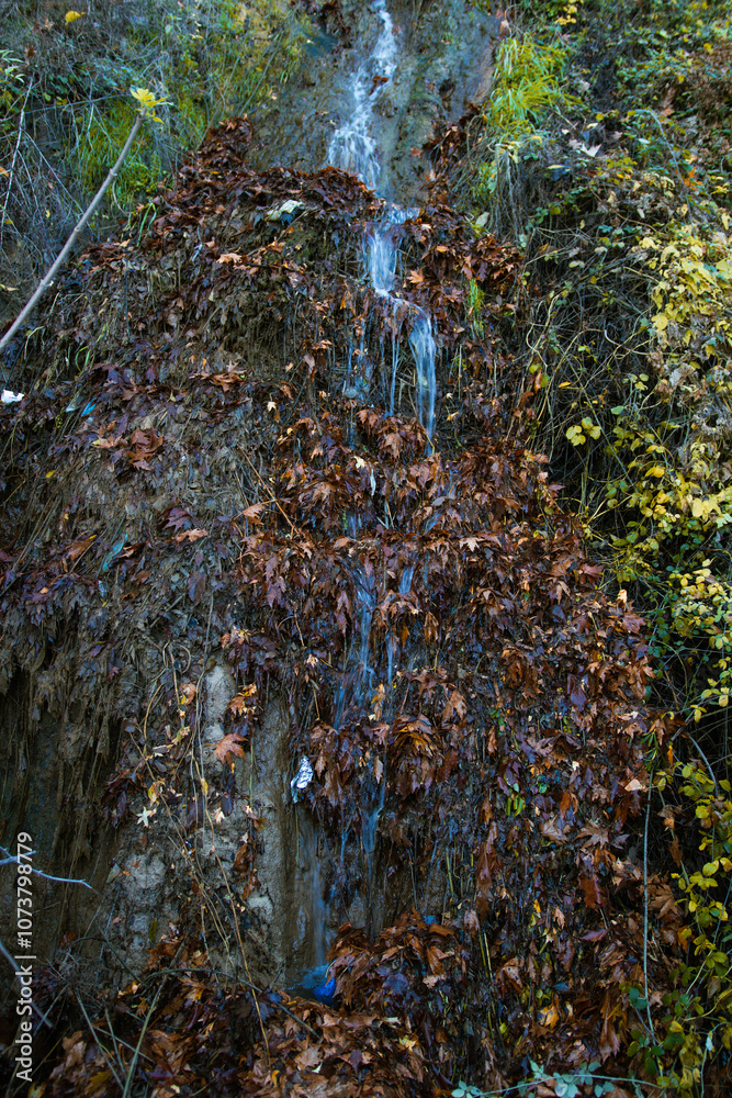 Fototapeta premium Serene waterfall cascades down moss-covered rocks, surrounded by the vibrant colors of autumn foliage.