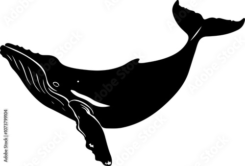 Silhouette of a Humpback Whale