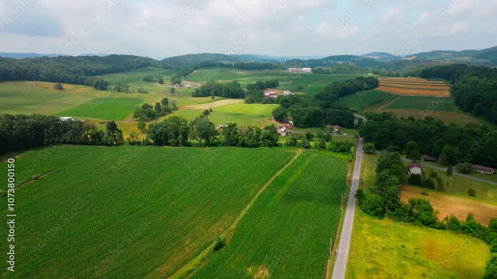 Drone landscape of colorful green country side scene corn field in Appalachia Pennsylvania Drone landscape of colorful green country side scene corn field in Appalachia Pennsylvania