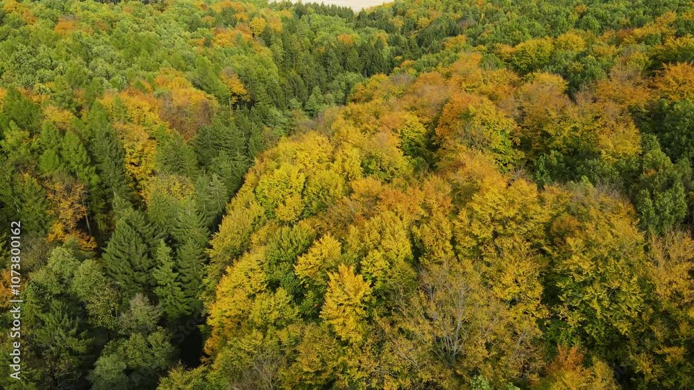 Blue Ridge Mountains, Georgia Drone flyover of mountain forest of trees changing colors in Chattahoochee-Oconee National Forest. Blue Ridge Mountains, Georgia Drone flyover of mountain forest of trees changing colors in Chattahoochee-Oconee National Forest.