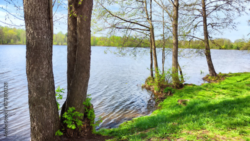 Tranquil lake surrounded by lush greenery under a bright blue sky in spring