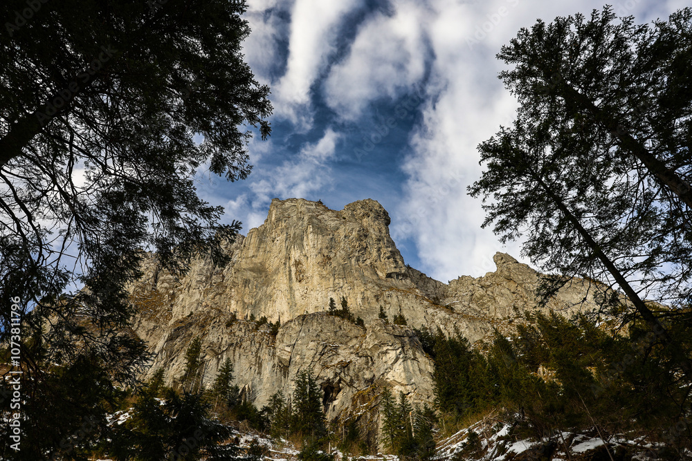 Obraz premium tree in the mountains