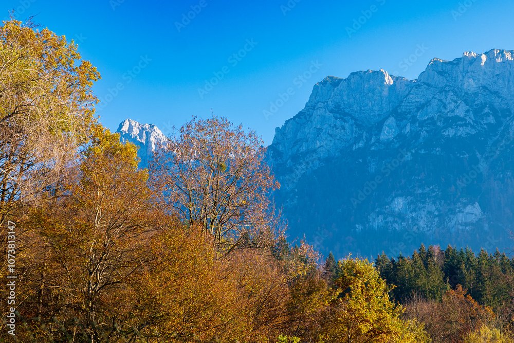 autumn landscape with trees autumn landscape with trees
