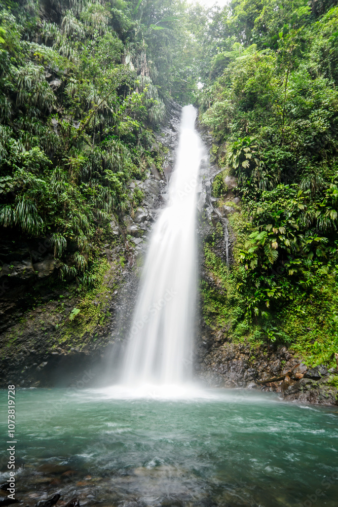 Obraz premium martinique