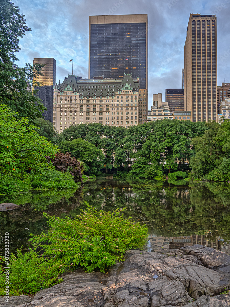 Central Park summer
