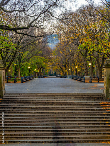 Central Park the Mall, late autumn