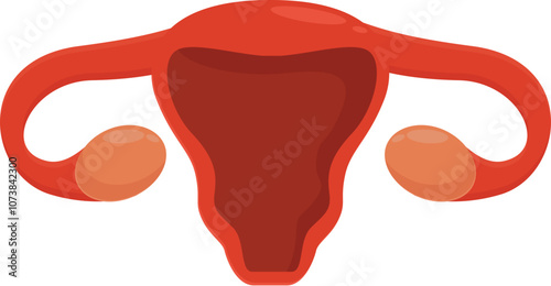 Medical illustration representing the female reproductive organs, highlighting uterus, fallopian tubes, and ovaries, essential for reproduction