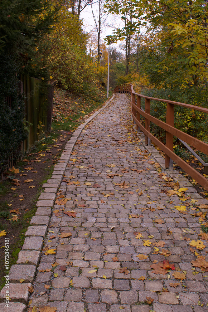 a path in the park made of cobblestones among the trees is surrounded by a wooden fence a path in the park made of cobblestones among the trees is surrounded by a wooden fence