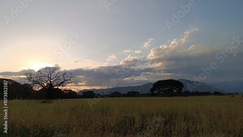 Cielo entre naturaleza y ciudad