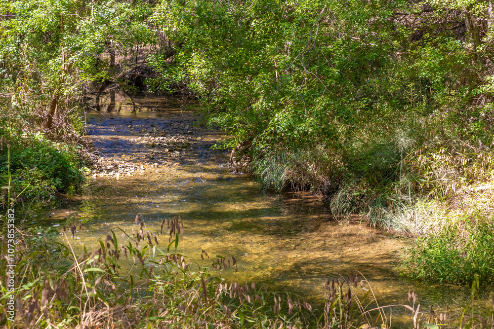 Fototapeta premium Water stream with trees in Brushy Creek Regional Trail