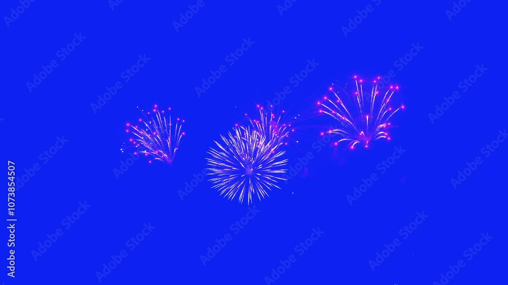 Abstract Real Firework on blue screen chroma key background, 4th of July independence day and new year eve 2024 concept. High quality 4k chromakey slow motion cinematic video