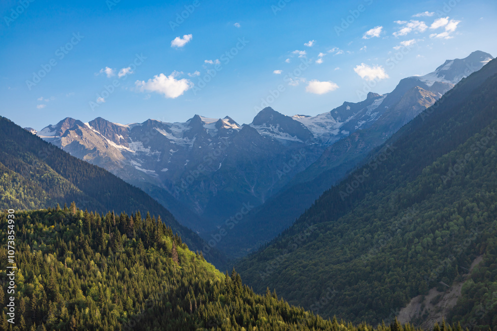 Beautiful Svaneti landscape with forest and mountains near Mestia in Summer. Upper Svaneti region, Georgia.