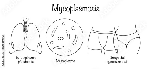 Mycoplasmosis