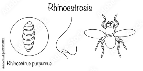 Rhinoestrosis