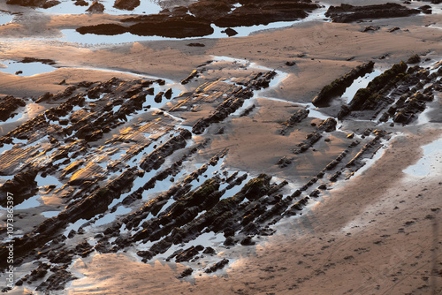 Beach Rocks at Low Tide