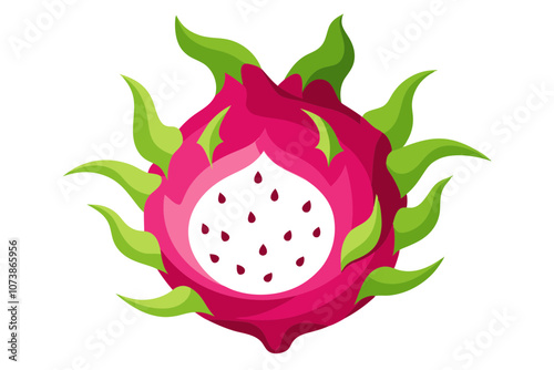 Dragonfruit Line Drawing Vector Elegant Minimalist Fruit Illustration