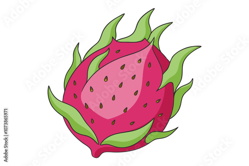 Dragonfruit Line Drawing Vector Elegant Minimalist Fruit Illustration