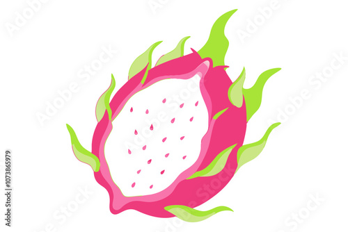 Dragonfruit Line Drawing Vector Elegant Minimalist Fruit Illustration