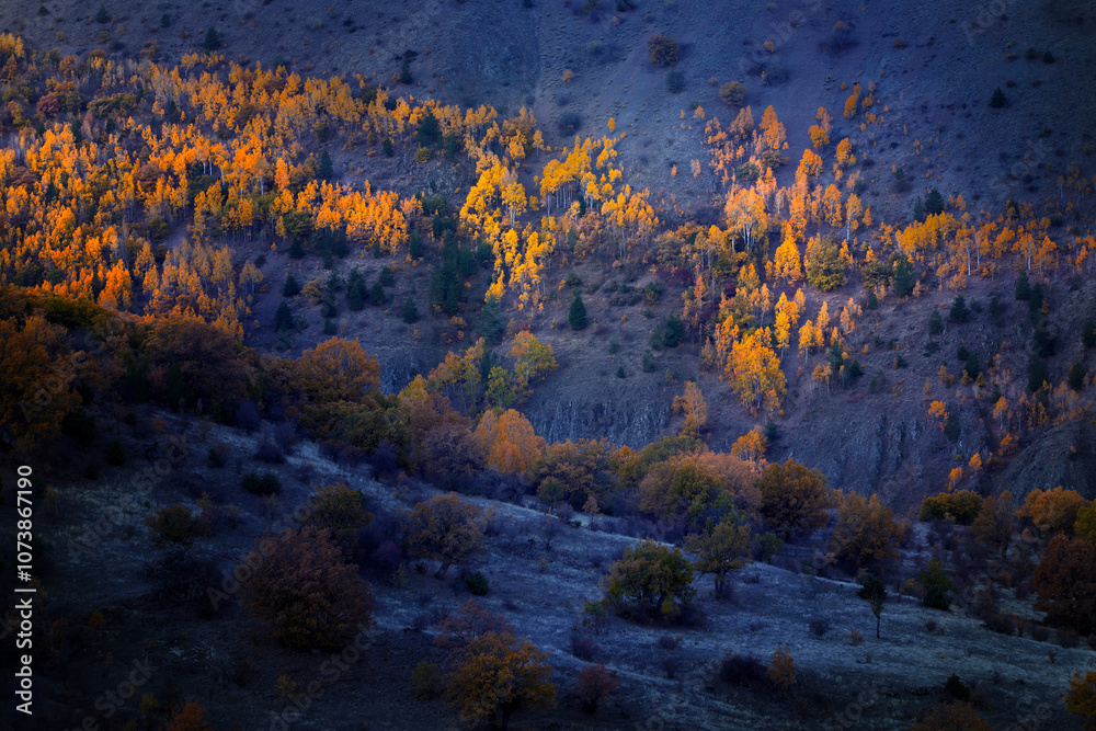 One of the forested regions of Turkey is Kızılcahamam. Türkiye.