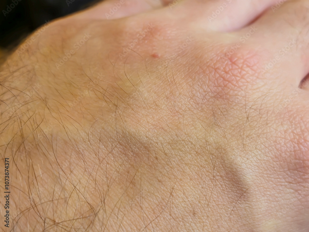 Fototapeta premium A close-up of a human hand showcasing fine details of skin texture and hair, highlighting the intricate patterns and natural appearance. Ideal for beauty, healthcare, and lifestyle themes.