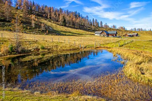 Die Lackenalm im Pongau