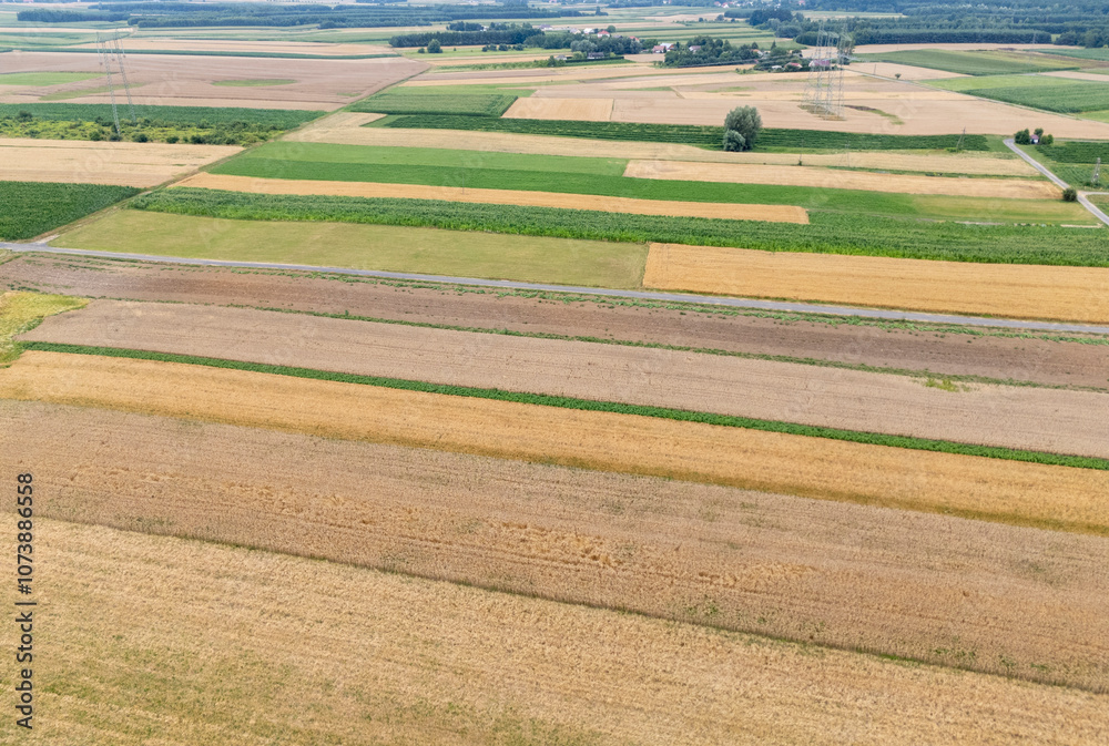 Naklejka premium Aerial view of colorful patchwork fields showcasing various agricultural practices in rural areas. The vibrant greens, yellows, and browns create a stunning landscape.