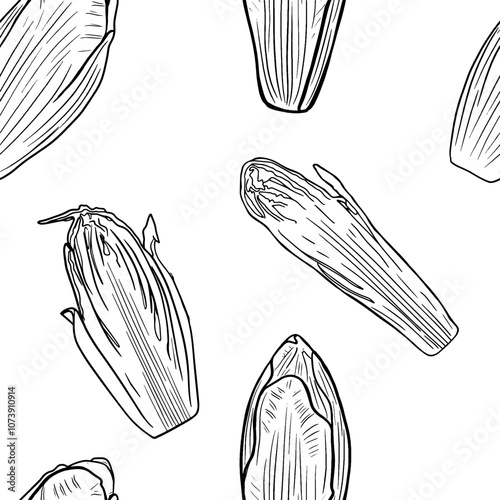 Seamless pattern of chicory, half chicory isolated, line art, doodle. 