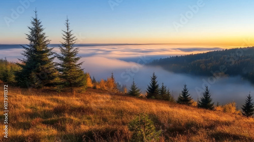 "Spruce trees shrouded in morning fog on a mountain hill, with the forest bathed in the soft glow of an autumn foggy sunrise. The mist creates a serene and mystical atmosphere, highlighting the beauty