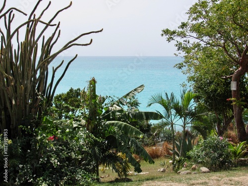 Tropical garden with towering cacti, banana plants, and lush foliage overlooking a brilliant turquoise sea. Perfect for themes of exotic nature, coastal landscapes, and island serenity. photo