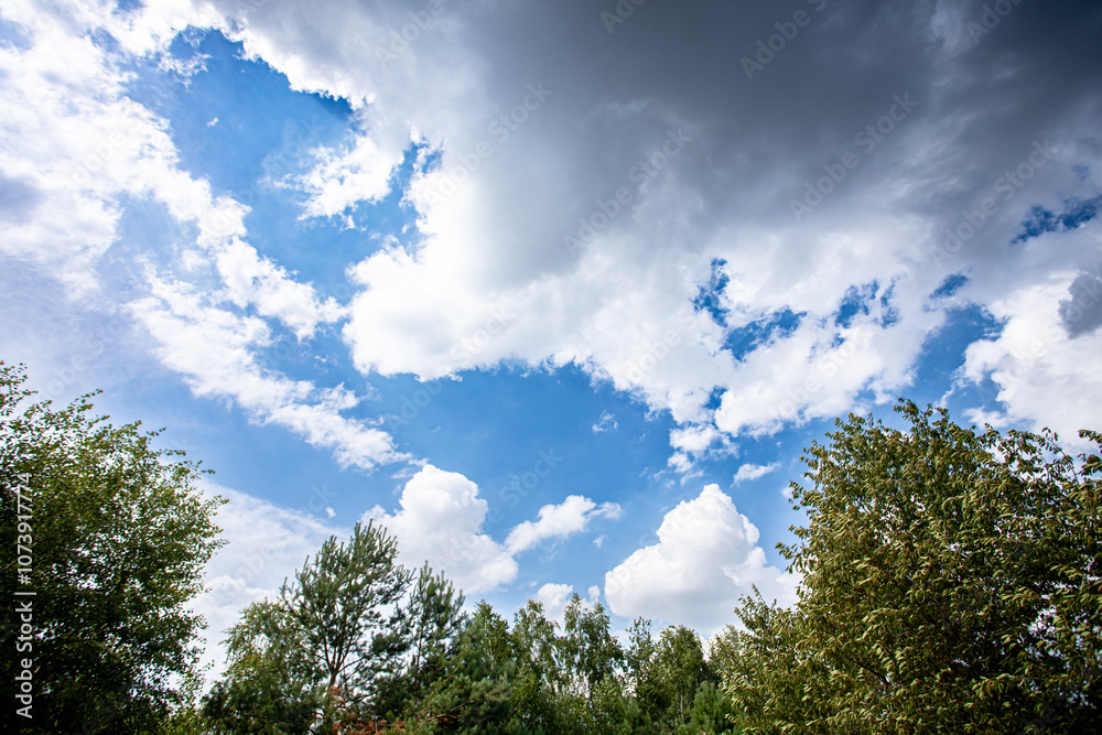 A breathtaking and vibrant sky filled with fluffy clouds above a beautiful tree landscape A breathtaking and vibrant sky filled with fluffy clouds above a beautiful tree landscape