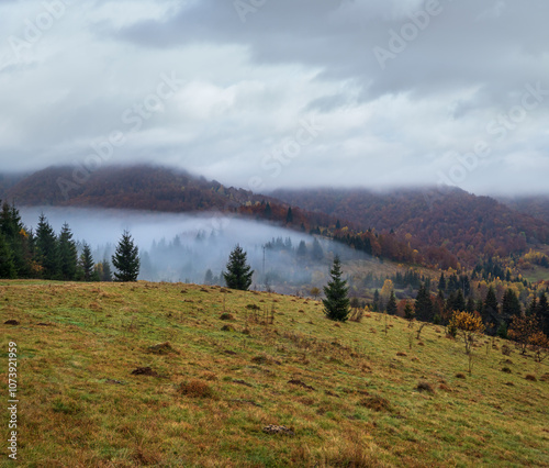 Cloudy and foggy early morning autumn mountains scene. Peaceful picturesque traveling, seasonal, nature and countryside beauty concept scene. Carpathian Mountains, Ukraine. photo