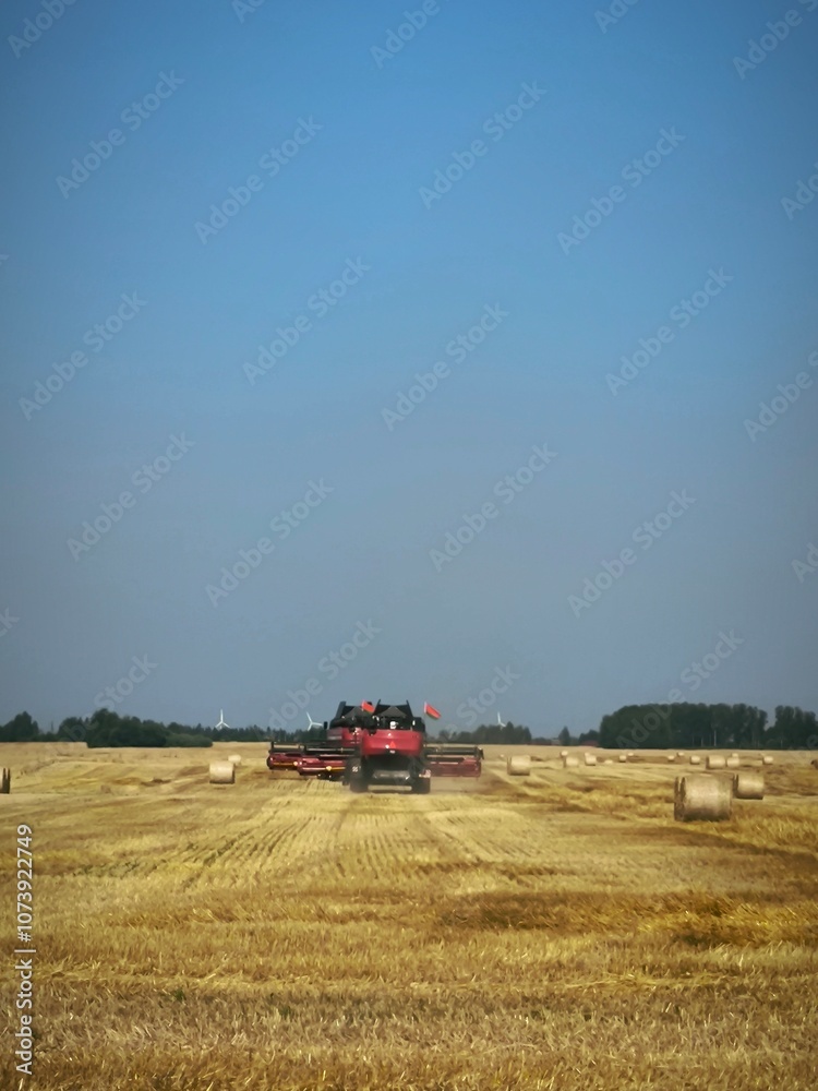 Fototapeta premium combine harvesting wheat