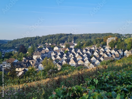 Obraz na płótnie Altstadt Freudenberg im Siegerland, Deutschland w salonie
